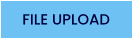 FILE UPLOAD