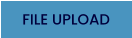 FILE UPLOAD